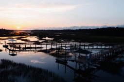 3854 Delinger Drive photo 4