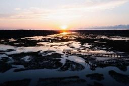 3854 Delinger Drive photo 4