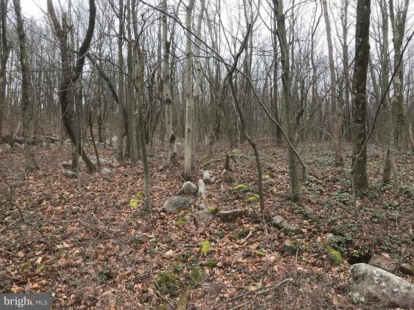 Lot# 367 & 368 SPARROW LANE, JIM THORPE, PA 18229
