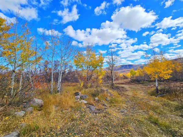 (Parcel 7) TBD Highway 65, Mesa, CO 81643