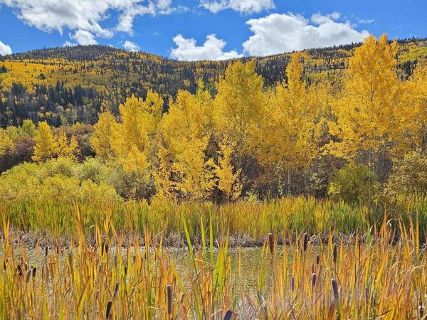 (Parcel 6) TBD Highway 65, Mesa, CO 81643