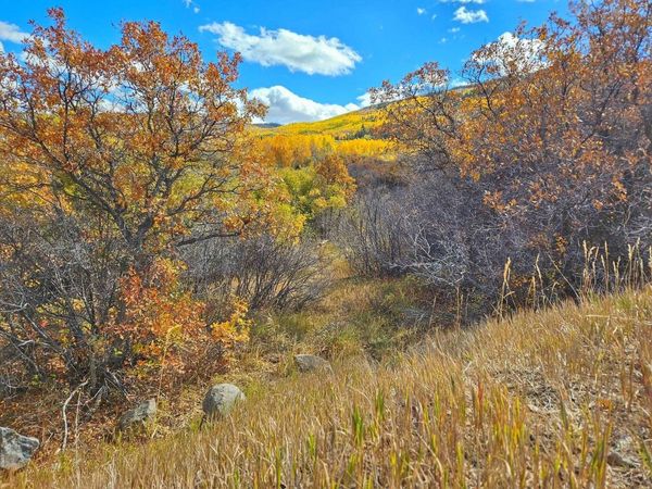 (Parcel 8) TBD Highway 65, Mesa, CO 81643