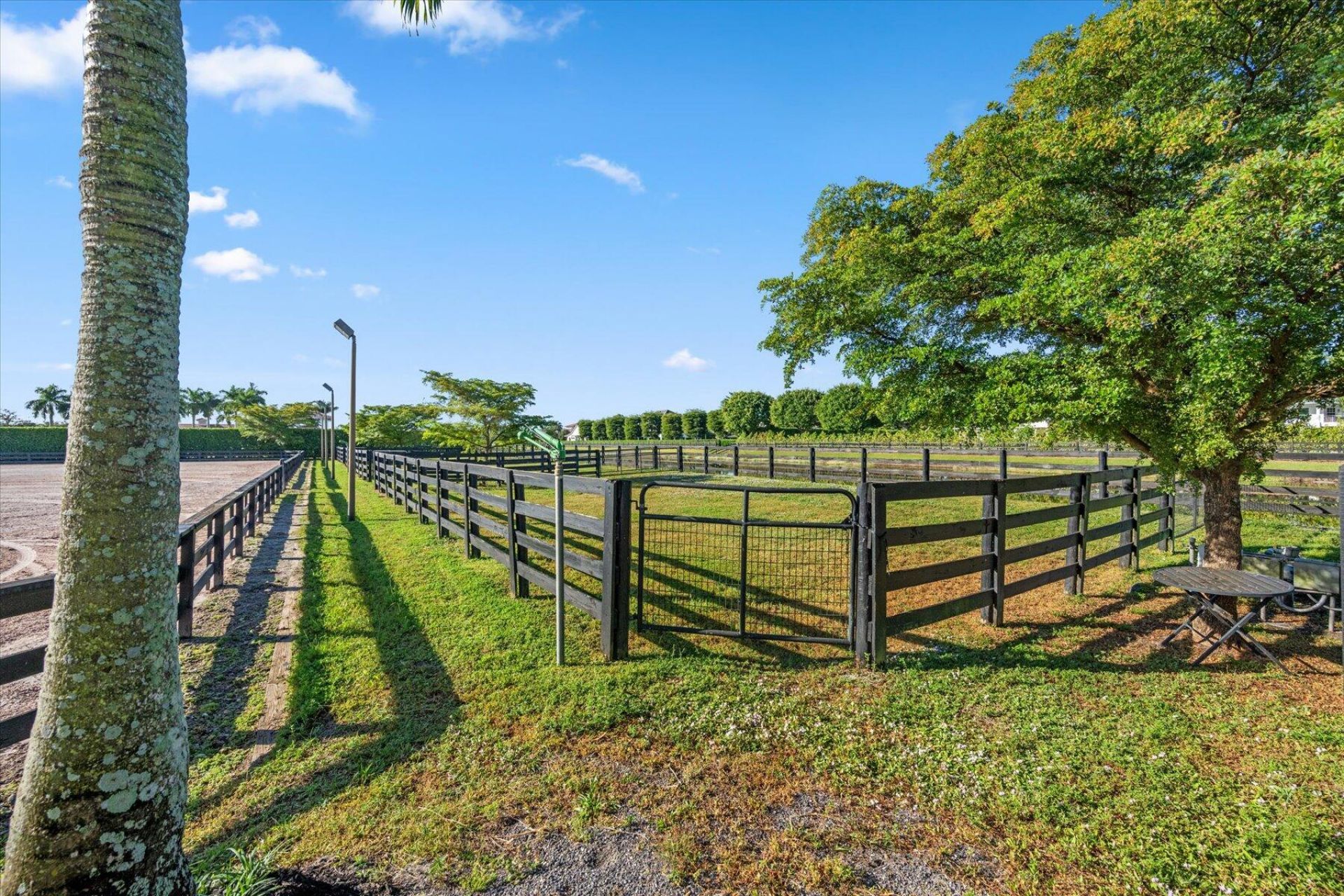 3601 Grand Prix Farms Drive, Wellington, FL 33414 Photo