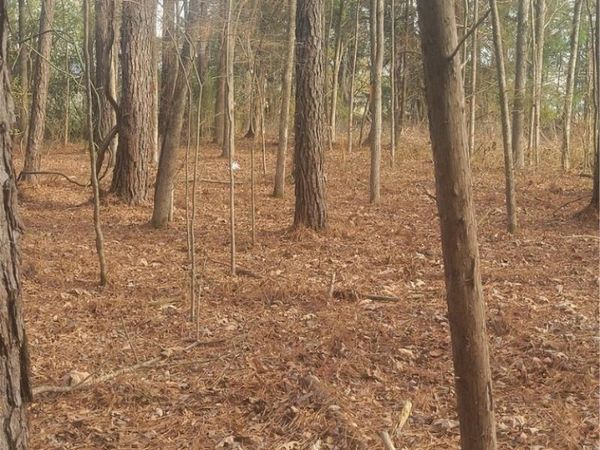 569 Gore Road Road, Pickensville, AL 35447