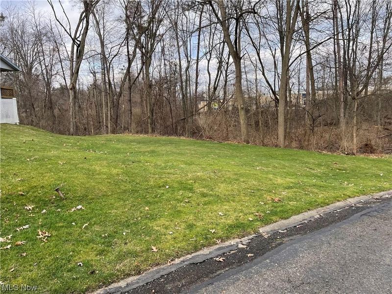 V/L 6838 Forest Creek, Wooster, OH 44691 Photo 2