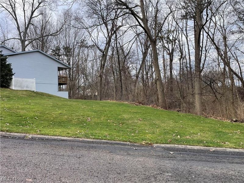 V/L 6838 Forest Creek, Wooster, OH 44691 Photo 3