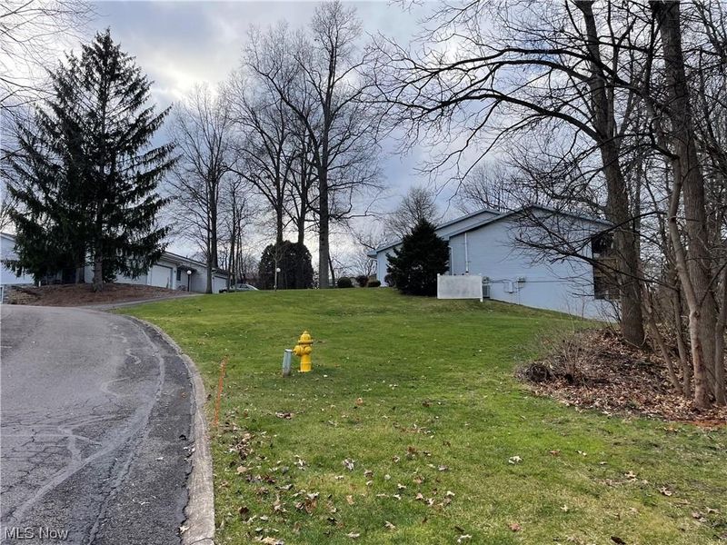 V/L 6838 Forest Creek, Wooster, OH 44691 Photo 4