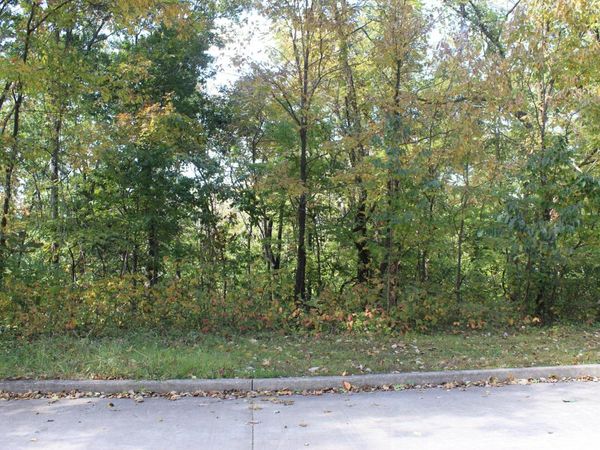 TBD DAVID STREET, Jefferson City, MO 65101