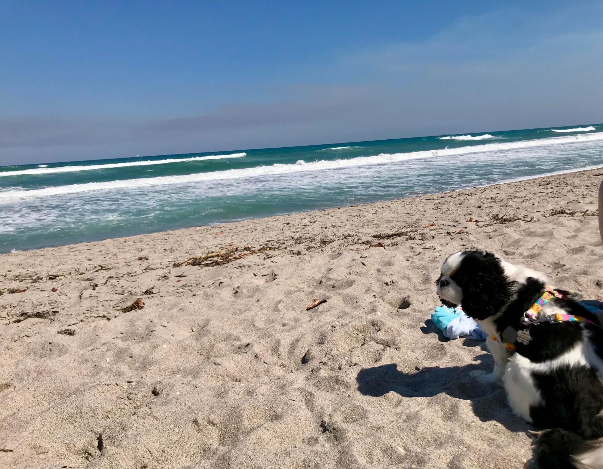 1605 S Us Highway 1, Unit 204 M3, Jupiter, FL 33477 Photo