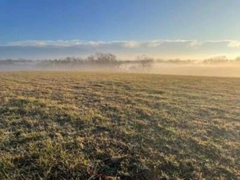 tract 3 hwy 1316, Sparta, KY 41083 Photo 1