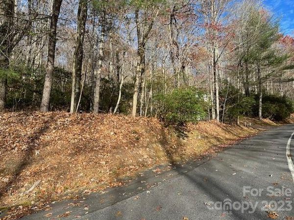 TBD Echota Lane, Brevard, NC 28712