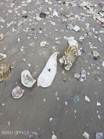 10020 Heckscher Drive, Jacksonville, FL 32226 Photo