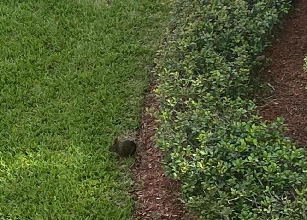 4175 S Atlantic Avenue, Unit 3160, New Smyrna Beach, FL 32169 Photo