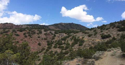 2300 Piute Creek Road, Reno, NV 89510 Photo