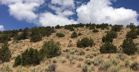 2300 Piute Creek Road, Reno, NV 89510 Photo