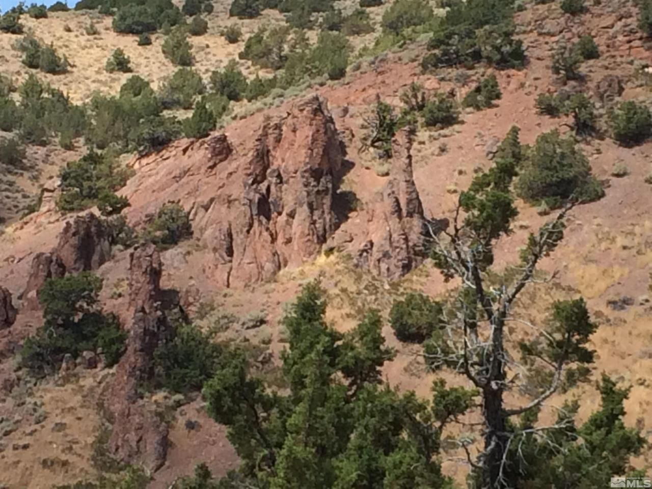 2300 Piute Creek Road, Reno, NV 89510 Photo