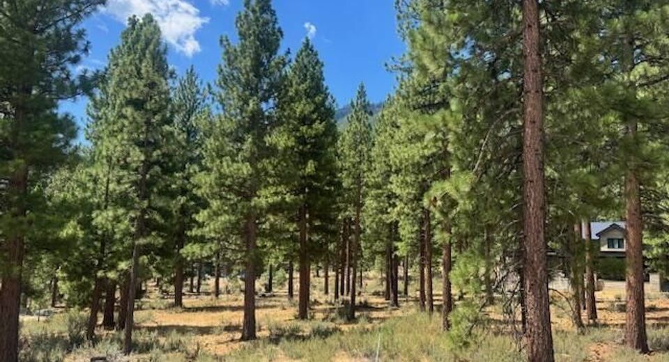 3385 Golf Club Drive, Carson City, NV 89705 Photo