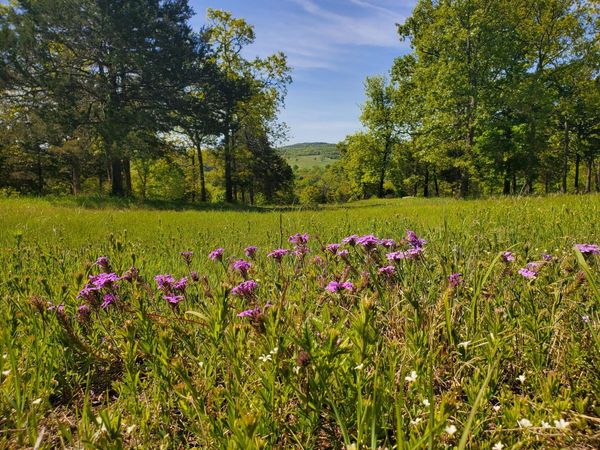 20-21-22 Cedar Falls Rd (Lots 20-21&22), Shell Knob, MO 65747