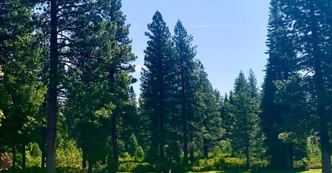 29 Bailey Creek Drive, Lake Almanor, CA 96137 Photo