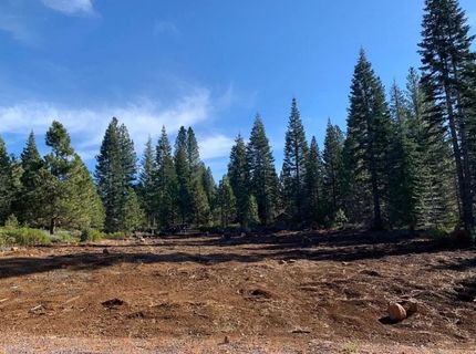 29 Bailey Creek Drive, Lake Almanor, CA 96137 Photo