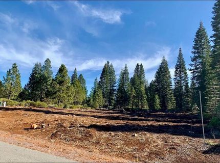 29 Bailey Creek Drive, Lake Almanor, CA 96137 Photo