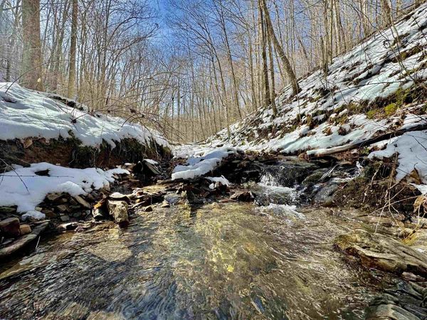 TBD McAtee Drive, Huttonsville, WV 26273