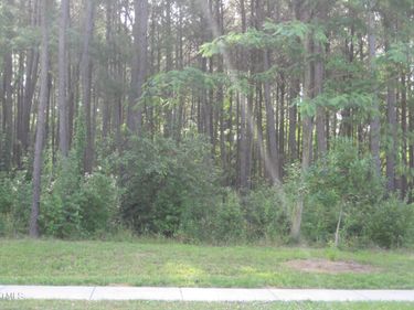0 Us Hwy 1, Youngsville, NC 27596
