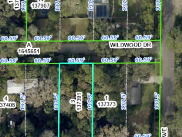20128 WILDWOOD DRIVE, BROOKSVILLE, FL 34601