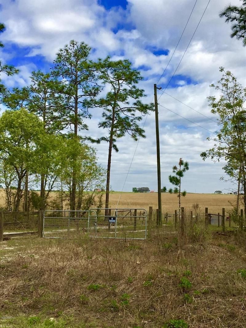 Nw Falcon Avenue, Dunnellon, FL 34431 Main Photo