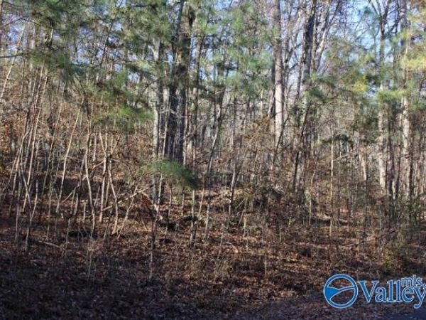 404 Tomahawk Circle, Guntersville, AL 35976