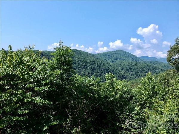 677 White Water Way, Marshall, NC 28753