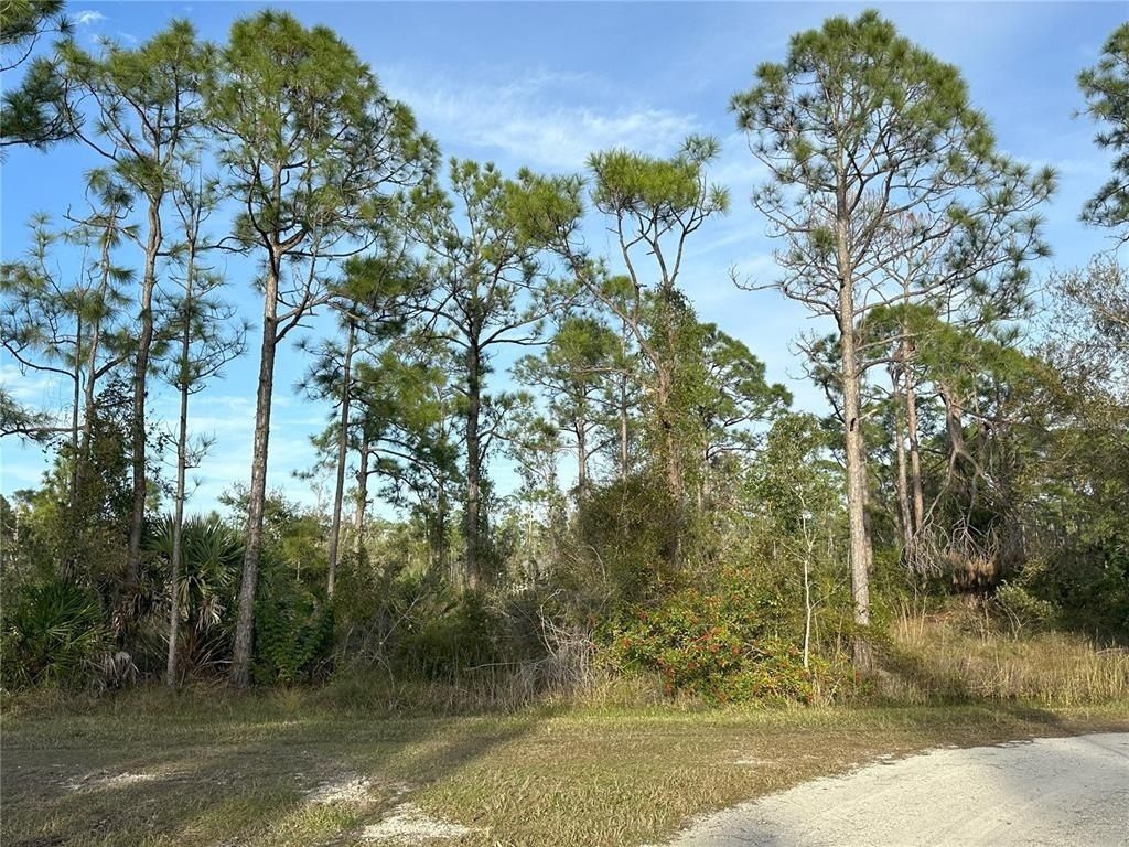 12135 Ludden Court, Punta Gorda, FL 33955 Photo