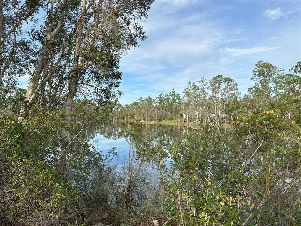 12135 Ludden Court, Punta Gorda, FL 33955 Photo