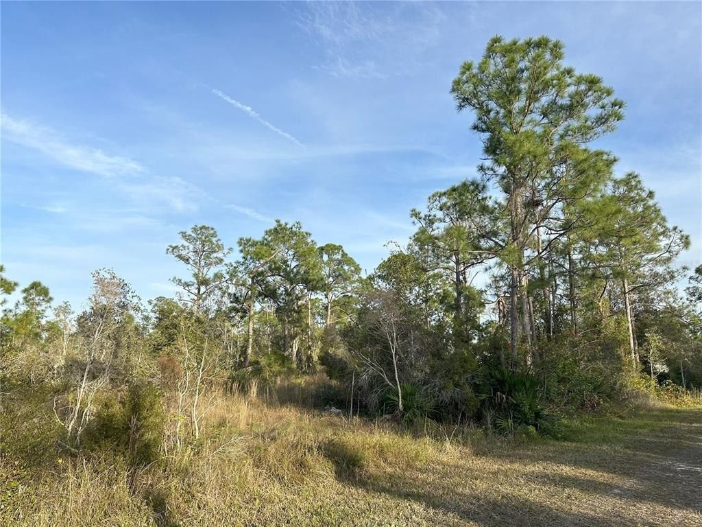 12135 Ludden Court, Punta Gorda, FL 33955 Photo