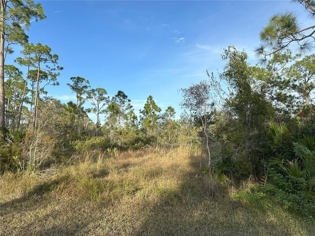 12135 Ludden Court, Punta Gorda, FL 33955 Photo