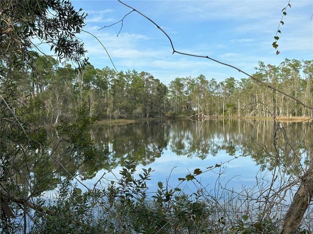 12135 Ludden Court, Punta Gorda, FL 33955 Photo