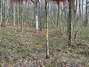 Lot 23 Hobbits Glenn Estates, Masontown, WV 26542