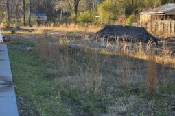 0 Brownswood Road photo 4