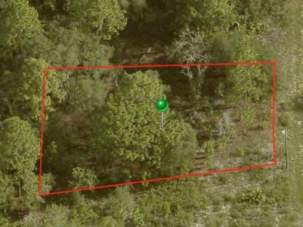 6692 N BUCKSKIN DRIVE, CITRUS SPRINGS, FL 34434