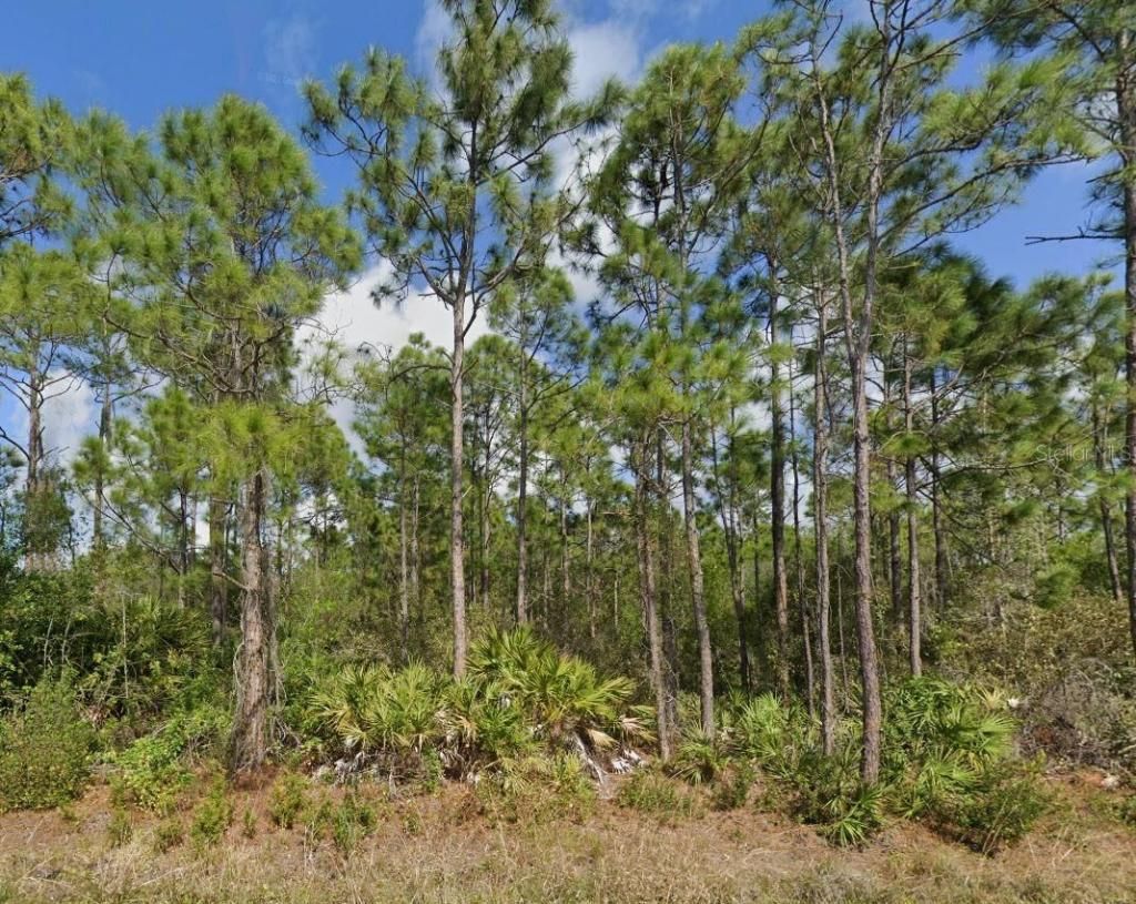 11490 3rd Avenue, Punta Gorda, FL 33955 Photo