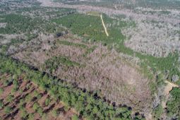 5510 Mauss Hill Road photo 4