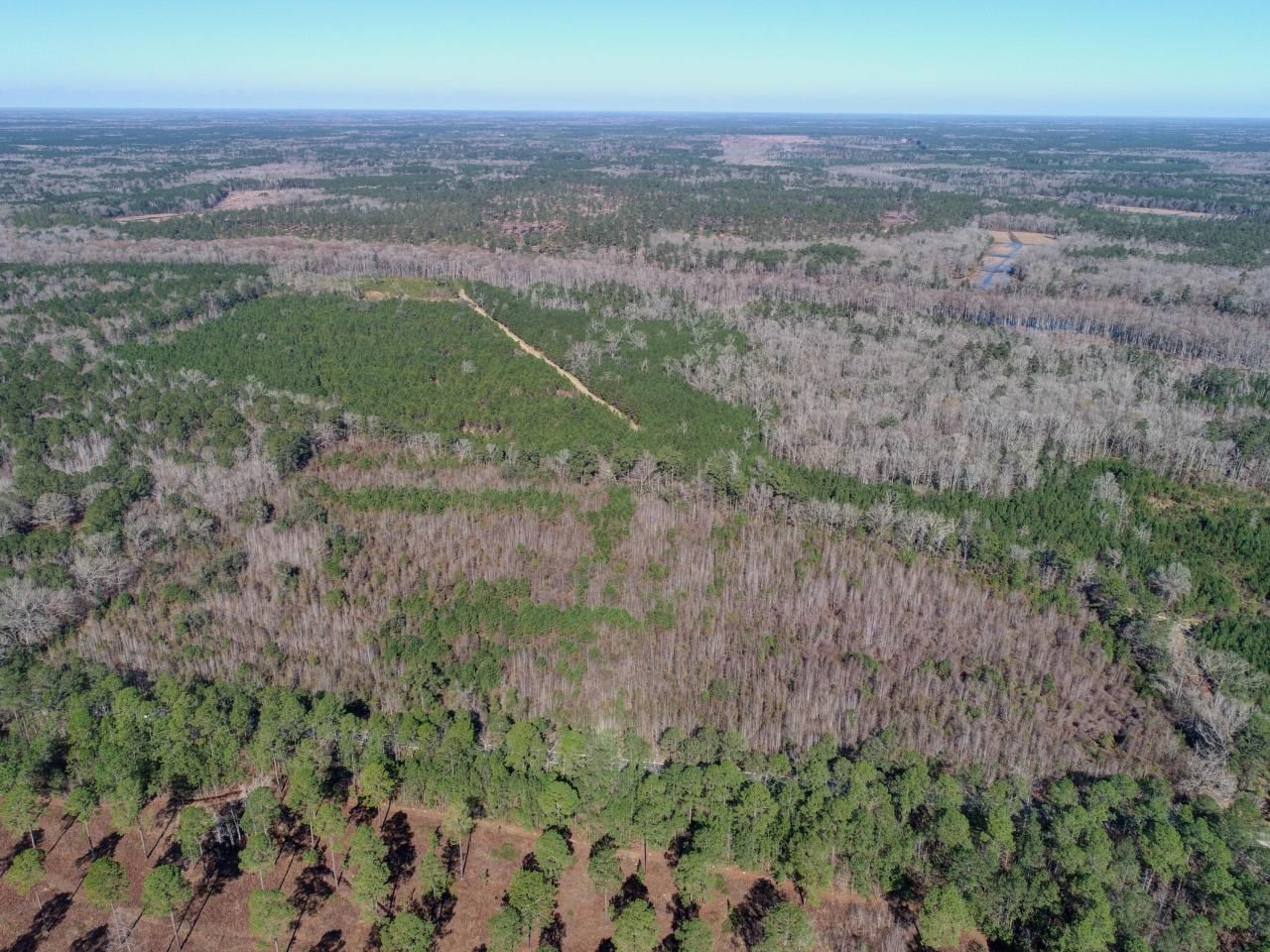 5510 Mauss Hill Road Photo 9