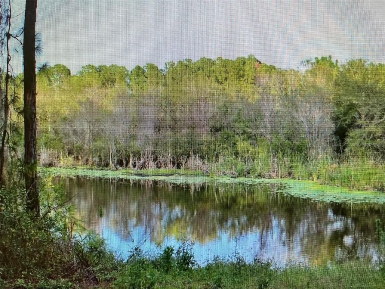 Lot A,b,c,d,e,f Narcissus Terrace, North Port, FL 34286 Photo