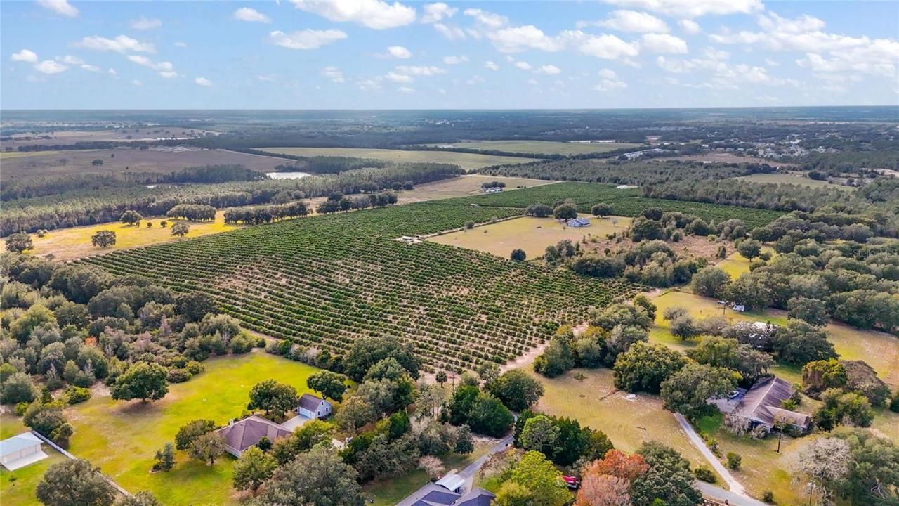 7285 Number 2 Road, Howey in the Hills, FL 34737 Photo