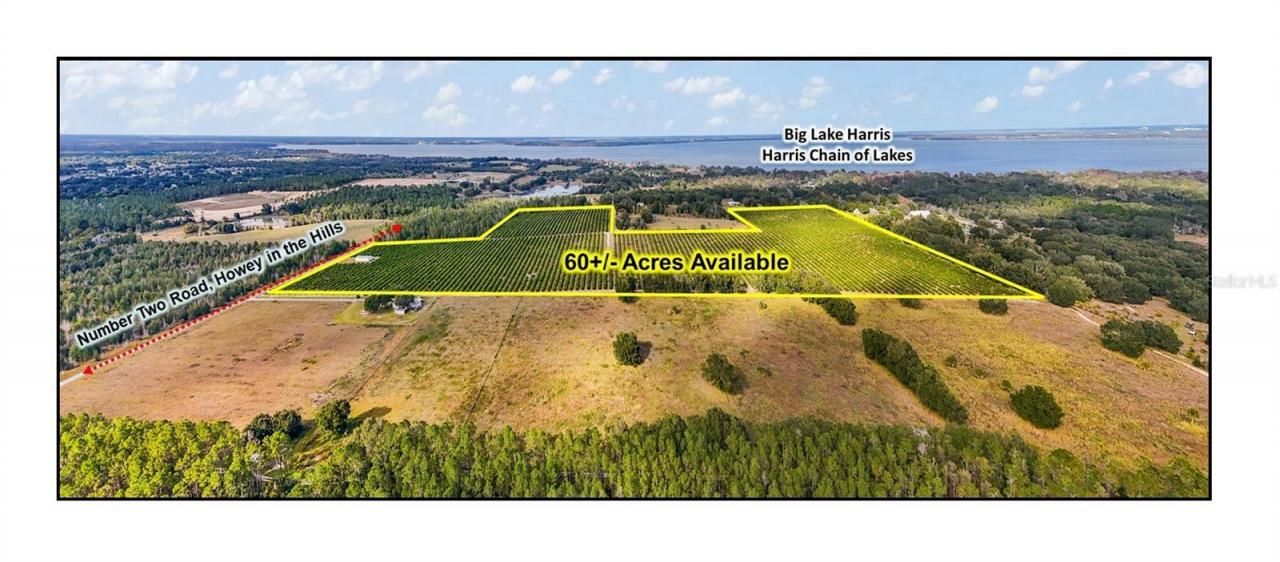 7285 Number 2 Road, Howey in the Hills, FL 34737 Photo