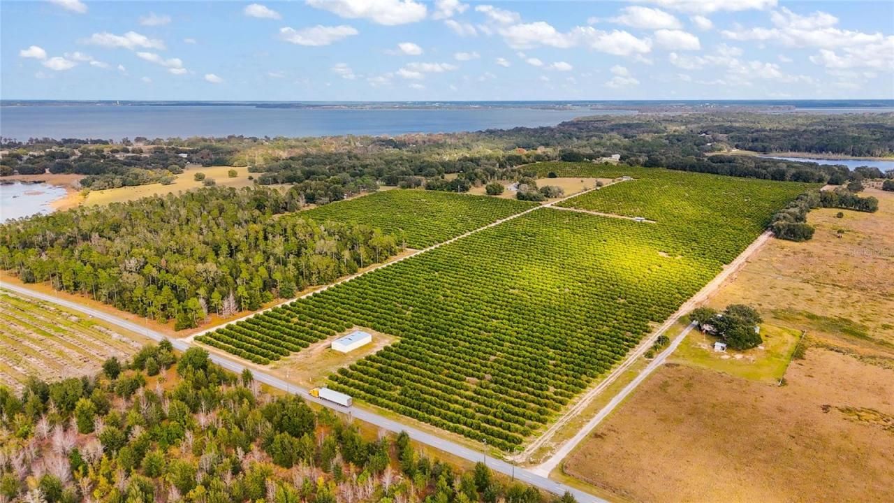 7285 Number 2 Road, Howey in the Hills, FL 34737 Photo