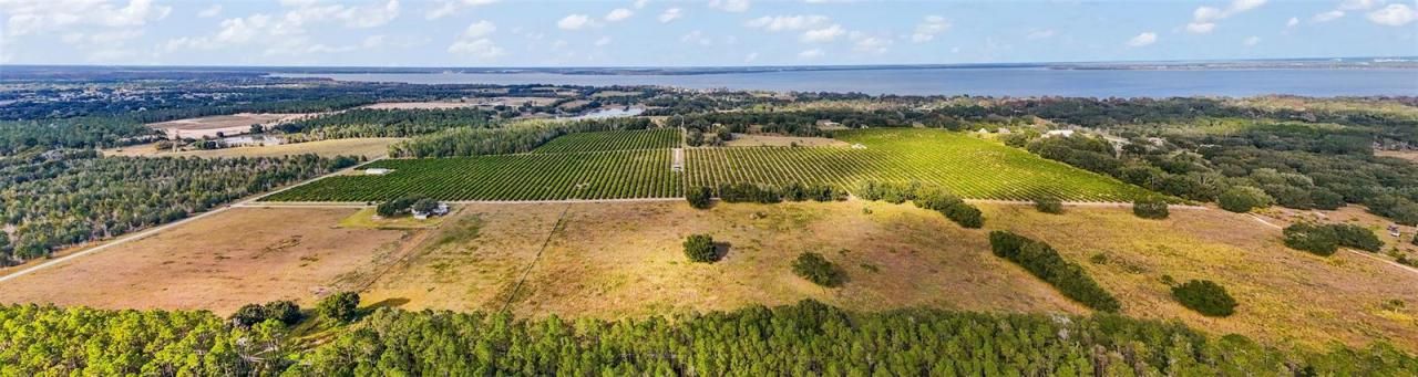 7285 Number 2 Road, Howey in the Hills, FL 34737 Photo