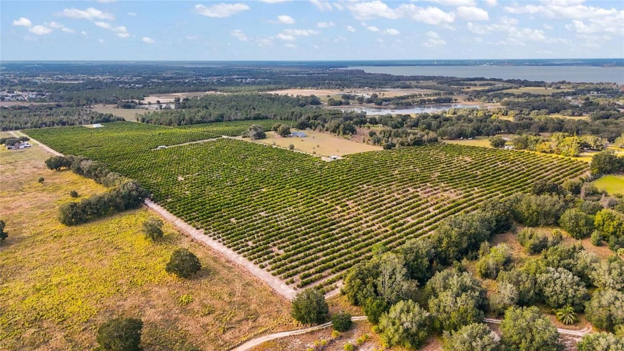 7285 Number 2 Road, Howey in the Hills, FL 34737 Photo