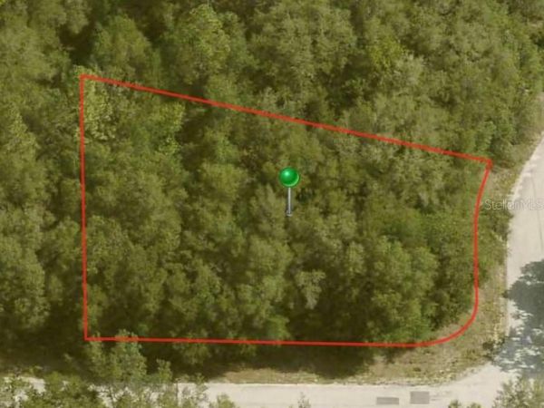 10098 N HALSEY WAY, CITRUS SPRINGS, FL 34434