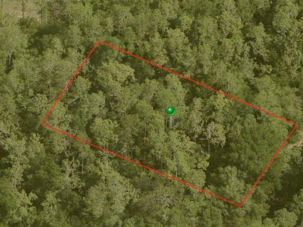 10170 N ABBY DRIVE, CITRUS SPRINGS, FL 34434